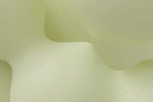1765233093069X205408135011786900 Feature Scaled 1