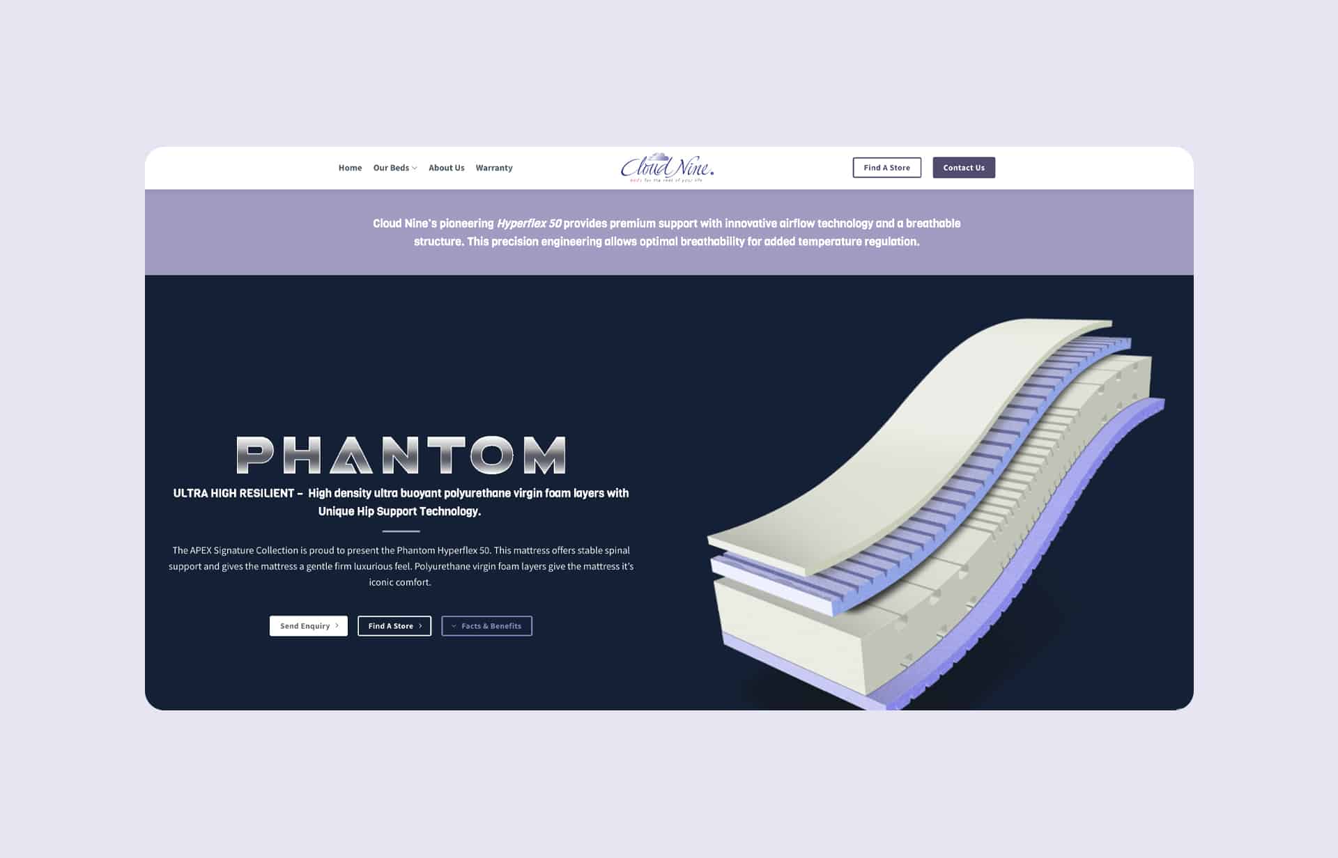 cloud-nine-portfolio-business-flatsome-example